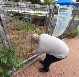 Me in 2025 looking for cats.