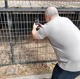 Me in 2025 photographing cats.