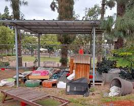 Cat park