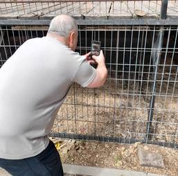 Me in 2025 photographing cats.