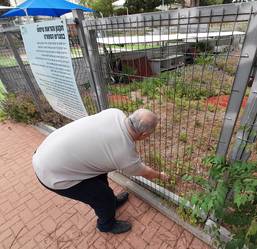 Me in 2025 looking for cats.